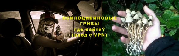 мет Алексин