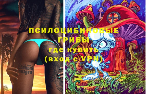 спиды Алексеевка