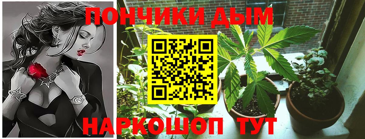Нововоронеж  Канабис Ganja  Бошки Шишки MAZAR  Канабис ГИДРОПОН  Каннабис THC 21%  Вход с VPN 